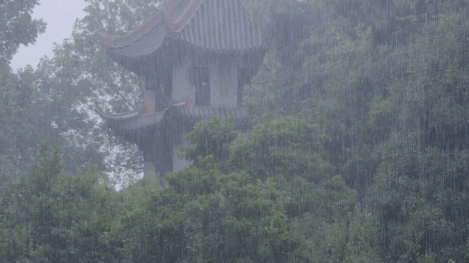 雨幕中的杜甫草堂塔楼