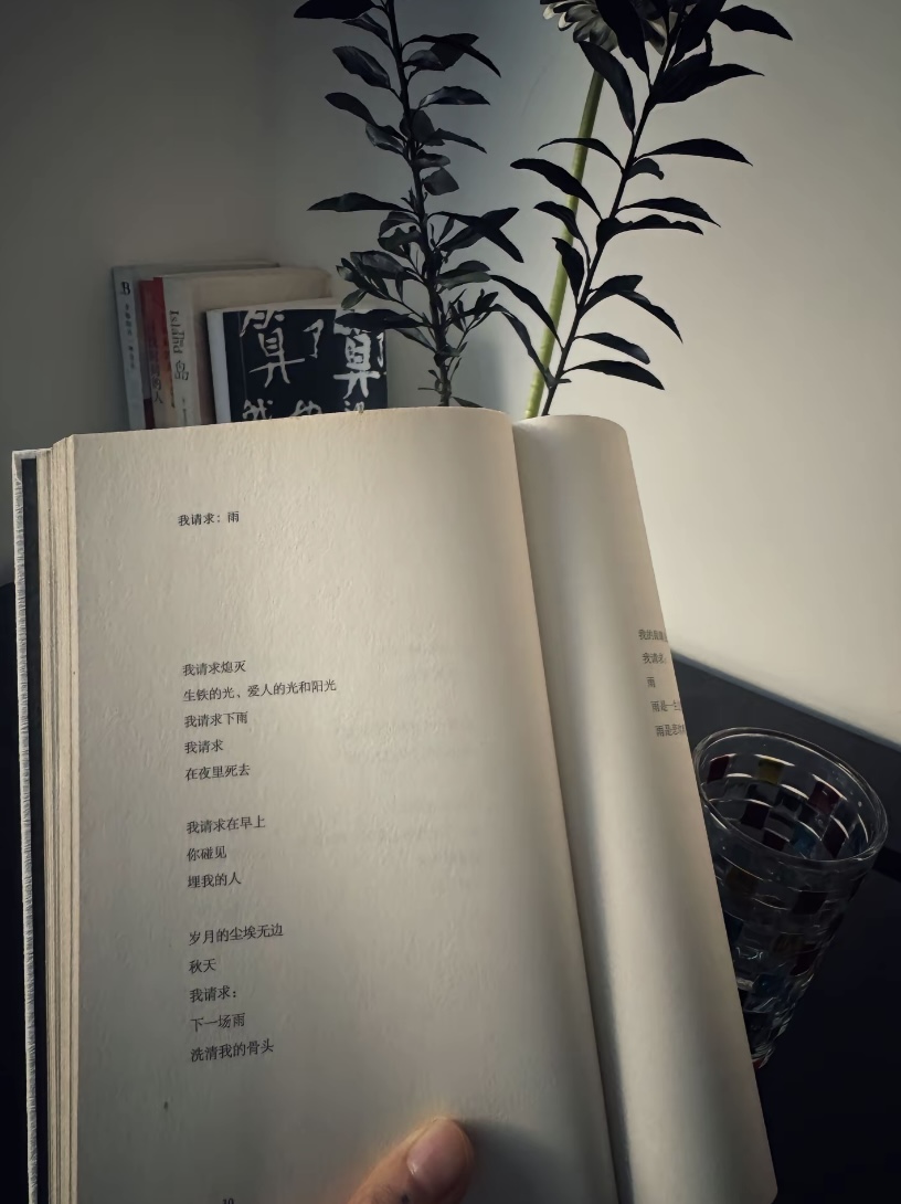 我请求:雨